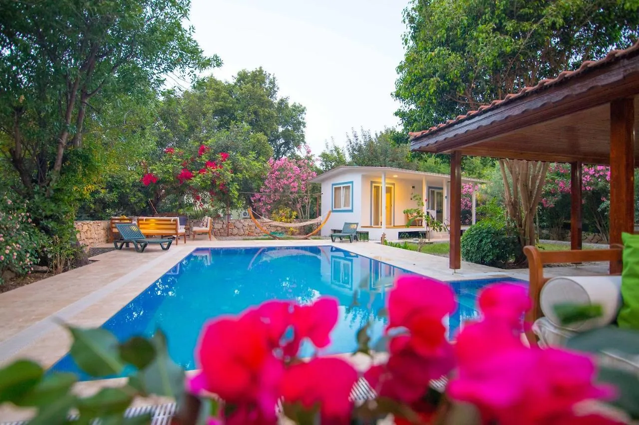 Villa Damla Sogut Marmaris Daily Weekly Rentals